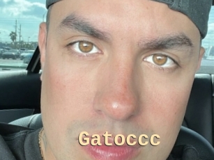 Gatoccc