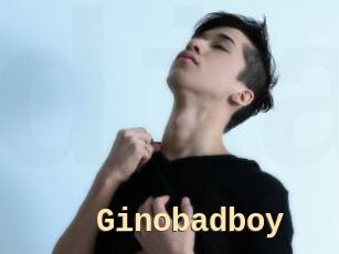 Ginobadboy