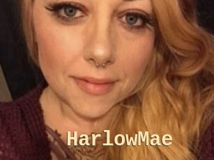 HarlowMae