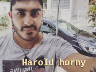 Harold_horny