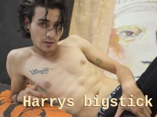 Harrys_bigstick