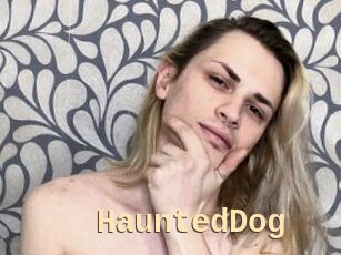 HauntedDog