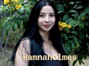Hamnaholmes
