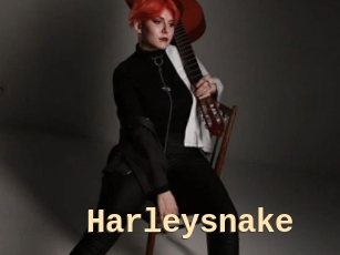 Harleysnake