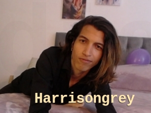 Harrisongrey