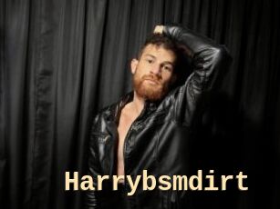 Harrybsmdirt