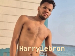 Harrylebron