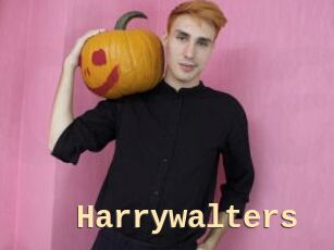 Harrywalters