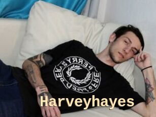 Harveyhayes