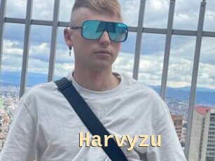 Harvyzu