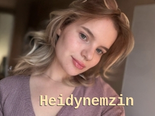 Heidynemzin