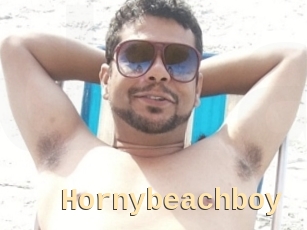Hornybeachboy