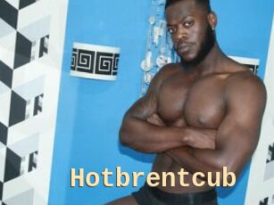 Hotbrentcub