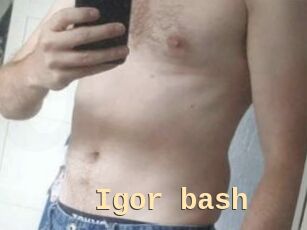 Igor_bash