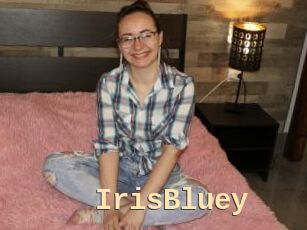 IrisBluey