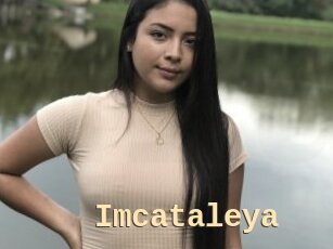 Imcataleya