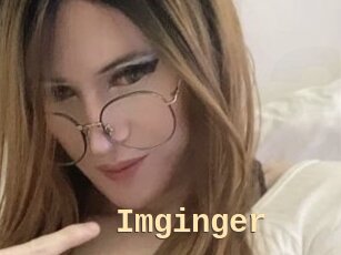 Imginger