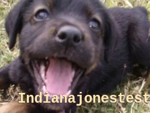 Indianajonestest