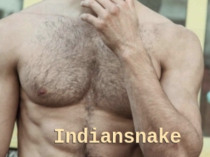 Indiansnake