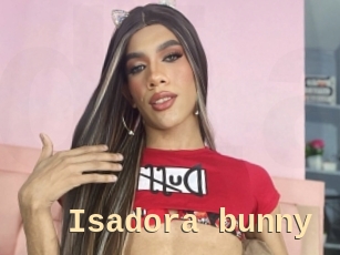 Isadora_bunny