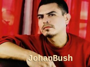JohanBush