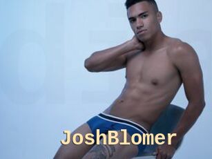 JoshBlomer