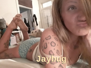 Jaybug