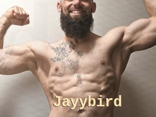 Jayybird