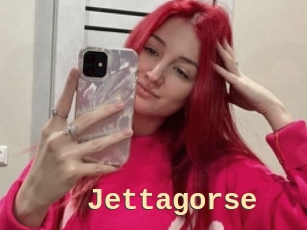 Jettagorse