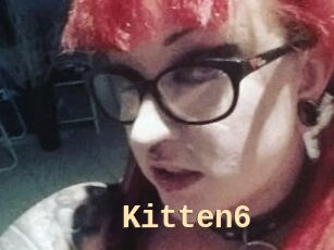 Kitten6