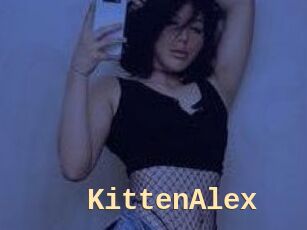 KittenAlex