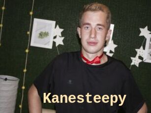 Kanesteepy