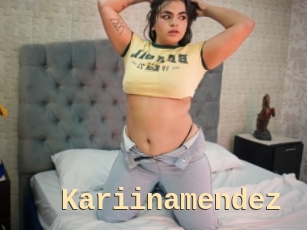Kariinamendez