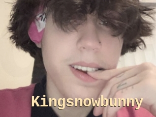 Kingsnowbunny