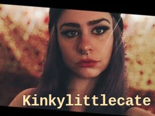 Kinkylittlecate