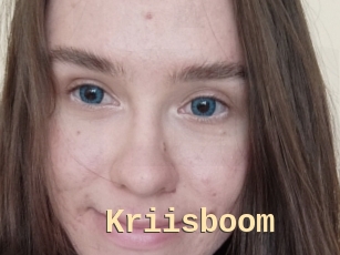 Kriisboom