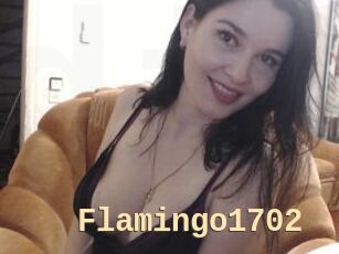 Flamingo1702