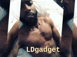 LDgadget