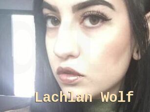 Lachlan_Wolf