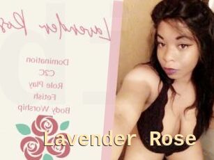Lavender_Rose