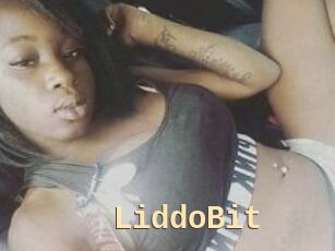 LiddoBit