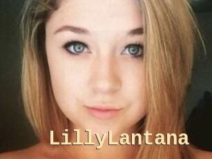 LillyLantana