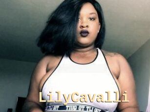 Lily_Cavalli