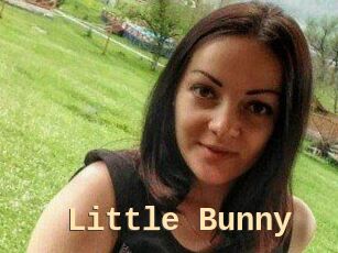 Little_Bunny_