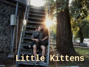 Little_Kittens