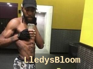 Lledys_Bloom