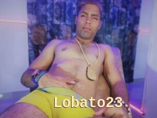 Lobato23