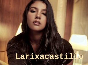 Larixacastillo