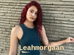 Leahmorgaan