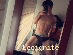 Leoignite